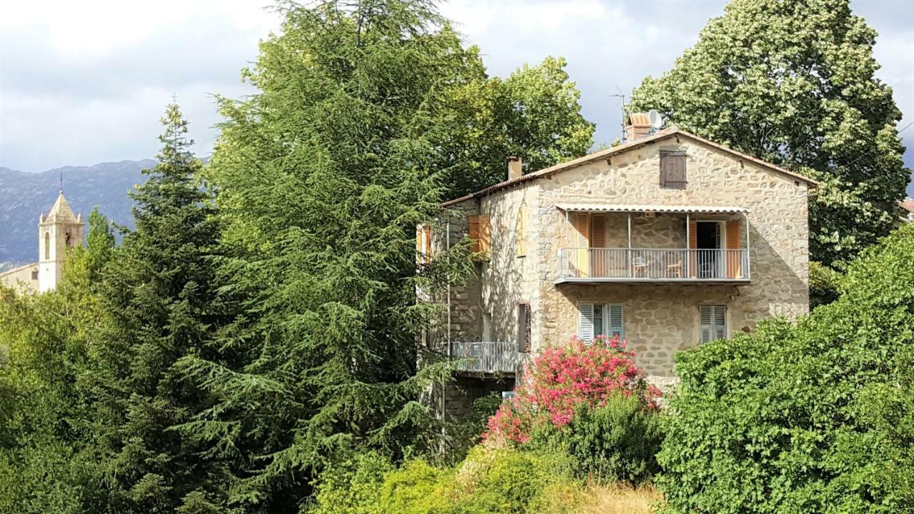 Housica & Co. Apartment Ucciani Exterior foto